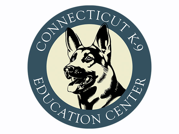 Classic Railroad Videos